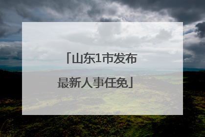 山东1市发布最新人事任免