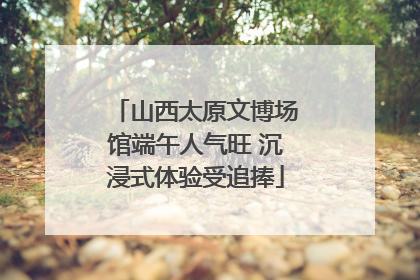 山西太原文博场馆端午人气旺 沉浸式体验受追捧