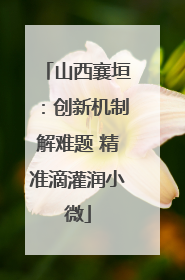 山西襄垣：创新机制解难题 精准滴灌润小微