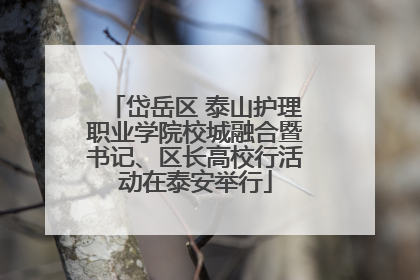 岱岳区 泰山护理职业学院校城融合暨书记、区长高校行活动在泰安举行
