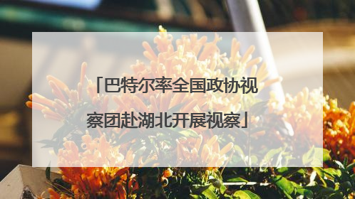 巴特尔率全国政协视察团赴湖北开展视察