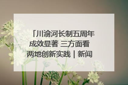川渝河长制五周年成效显著 三方面看两地创新实践｜新闻发布最前线