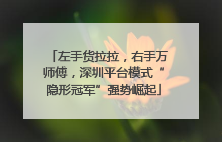 左手货拉拉，右手万师傅，深圳平台模式“隐形冠军”强势崛起