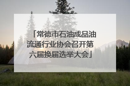 常德市石油成品油流通行业协会召开第六届换届选举大会