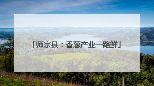 师宗县：香葱产业一路鲜