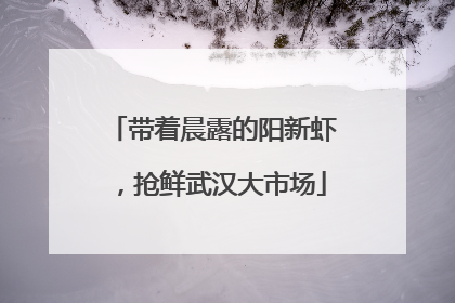 带着晨露的阳新虾，抢鲜武汉大市场