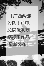 广西两部入选！广电总局优秀网络视听作品最新公布