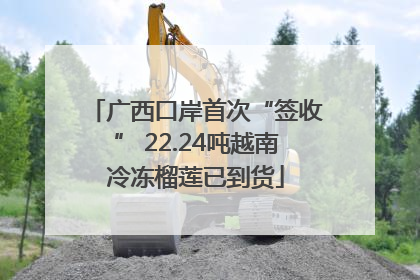 广西口岸首次“签收” 22.24吨越南冷冻榴莲已到货