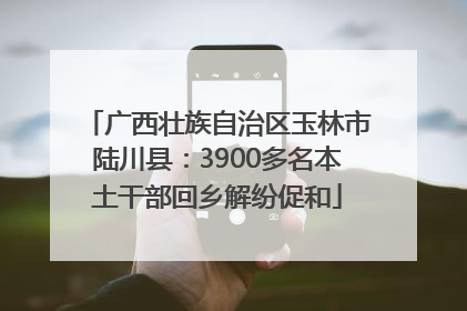 广西壮族自治区玉林市陆川县：3900多名本土干部回乡解纷促和