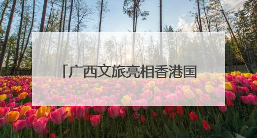 广西文旅亮相香港国际旅游展：促桂港文旅合作 引客入壮乡