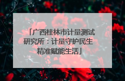 广西桂林市计量测试研究所：计量守护民生 精准赋能生活