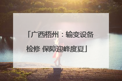 广西梧州：输变设备检修 保障迎峰度夏