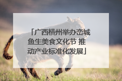 广西横州举办峦城鱼生美食文化节 推动产业标准化发展