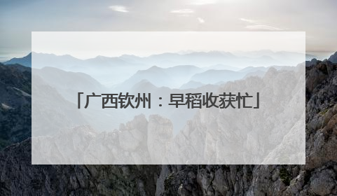 广西钦州：早稻收获忙