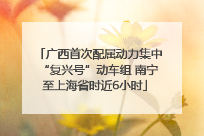 广西首次配属动力集中“复兴号”动车组 南宁至上海省时近6小时