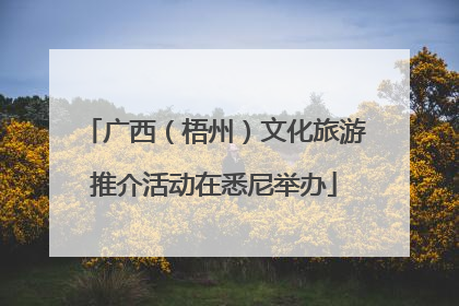 广西（梧州）文化旅游推介活动在悉尼举办