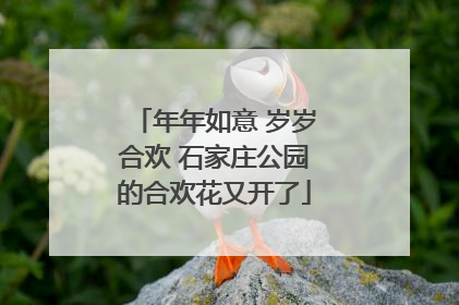 年年如意 岁岁合欢 石家庄公园的合欢花又开了
