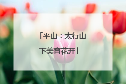 平山：太行山下美育花开
