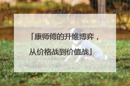 康师傅的升维博弈，从价格战到价值战