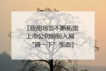 应用场景不断拓宽 上市公司纷纷入局“碰一下”生态