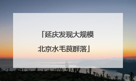 延庆发现大规模北京水毛茛群落