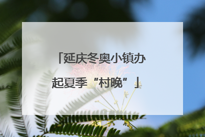 延庆冬奥小镇办起夏季“村晚”