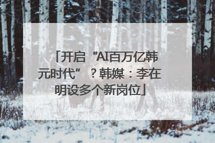 开启“AI百万亿韩元时代”？韩媒：李在明设多个新岗位