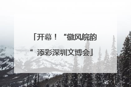 开幕！“徽风皖韵”添彩深圳文博会