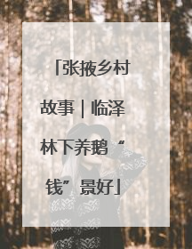 张掖乡村故事｜临泽林下养鹅“钱”景好