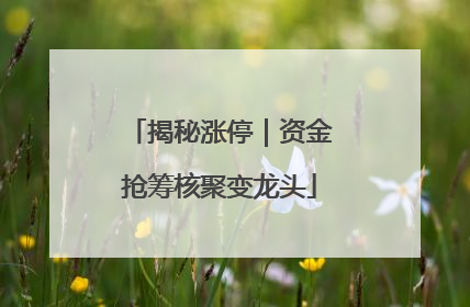 揭秘涨停｜资金抢筹核聚变龙头