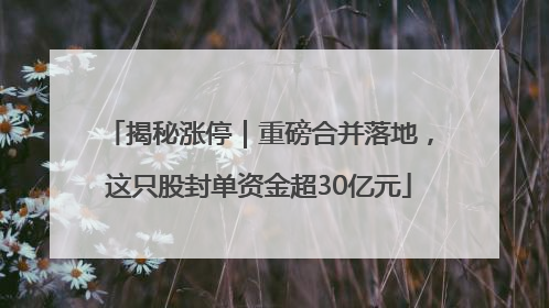 揭秘涨停｜重磅合并落地，这只股封单资金超30亿元