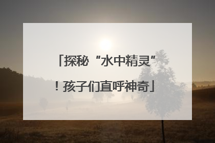 探秘“水中精灵”！孩子们直呼神奇