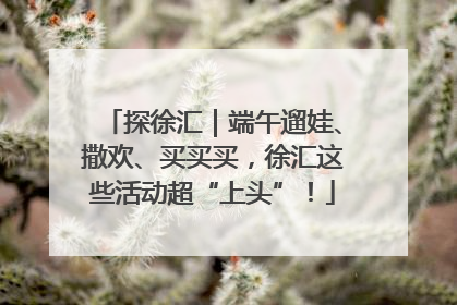 探徐汇｜端午遛娃、撒欢、买买买，徐汇这些活动超“上头”！