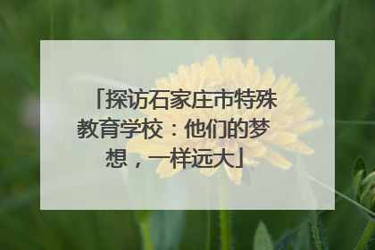 探访石家庄市特殊教育学校：他们的梦想，一样远大