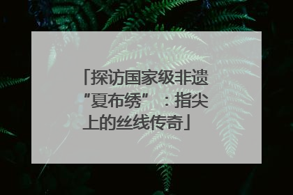 探访国家级非遗“夏布绣”：指尖上的丝线传奇