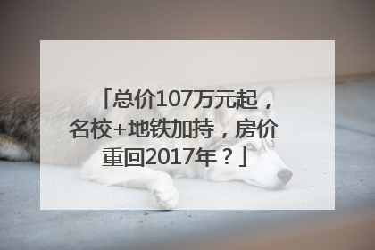 总价107万元起，名校+地铁加持，房价重回2017年？