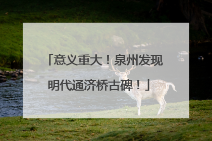 意义重大！泉州发现明代通济桥古碑！