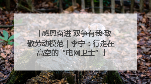 感恩奋进 双争有我·致敬劳动模范｜李宁：行走在高空的“电网卫士”