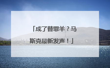 成了替罪羊？马斯克最新发声！