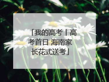 我的高考丨高考首日 海南家长花式送考