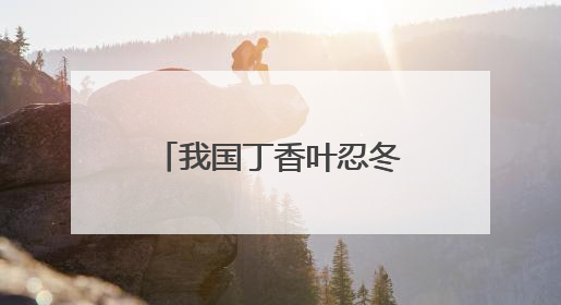 我国丁香叶忍冬的最大分布区，开建植物保护小区