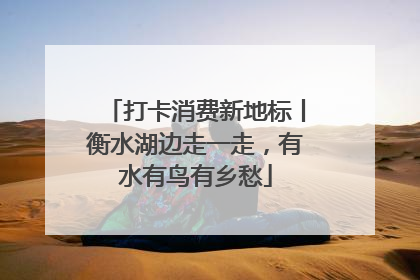 打卡消费新地标丨衡水湖边走一走，有水有鸟有乡愁