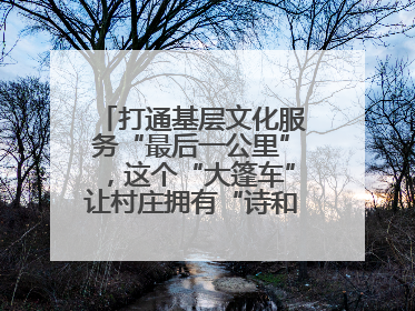 打通基层文化服务“最后一公里”，这个“大篷车”让村庄拥有“诗和远方”