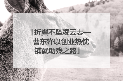 折翼不坠凌云志——曹东锋以创业热忱铺就助残之路