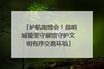 护航南博会！昆明城管坚守展馆守护文明有序交易环境