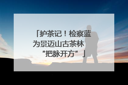 护茶记！检察蓝为景迈山古茶林 “把脉开方”