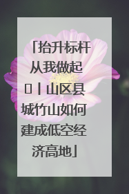 抬升标杆 从我做起⑭丨山区县城竹山如何建成低空经济高地