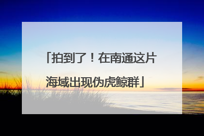 拍到了！在南通这片海域出现伪虎鲸群