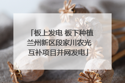 板上发电 板下种植 兰州新区段家川农光互补项目并网发电