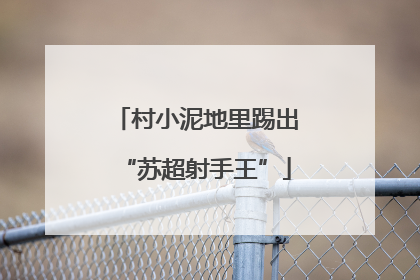 村小泥地里踢出“苏超射手王”